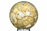 Polished Orbicular King Cobra Jasper Sphere - India #309231-1